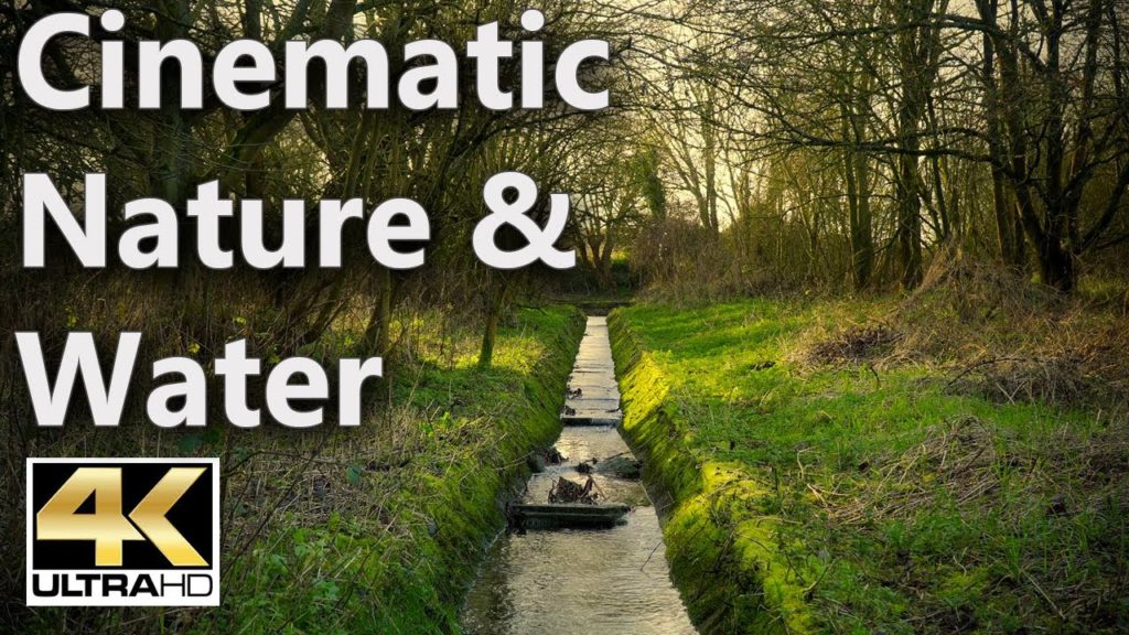 Cinematic Nature and Water Video 4K ( Relaxing & Calming ) Cinematic Nature and Water Video 4K ( Relaxing & Calming )