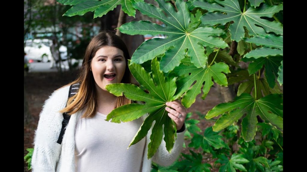 24 HOURS IN THE CITY OF TREES | SENDAI JAPAN