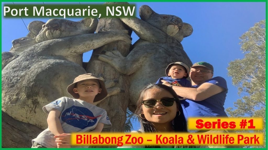 Billabong Zoo - Port Macquarie | Australia