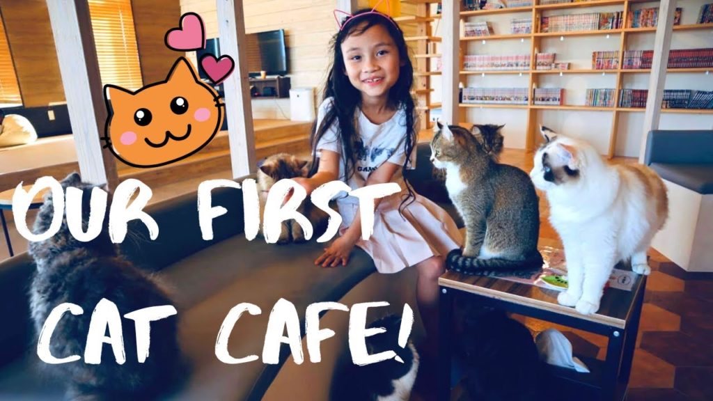Travel Vlog: Hanging out at the Puchi Marry Cat Cafe in American Village 🐈🖤 - Okinawa, Japan