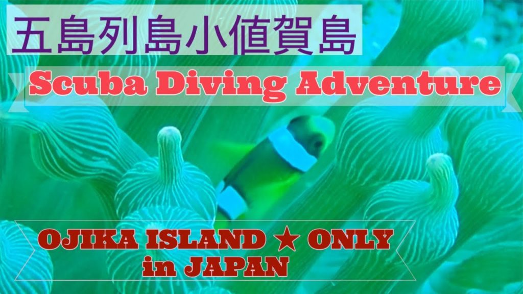 長崎県 五島列島小値賀島でスキューバダイビングができる Ojika island Scuba Diving Adventure | Nagasaki ★ ONLY in JAPAN