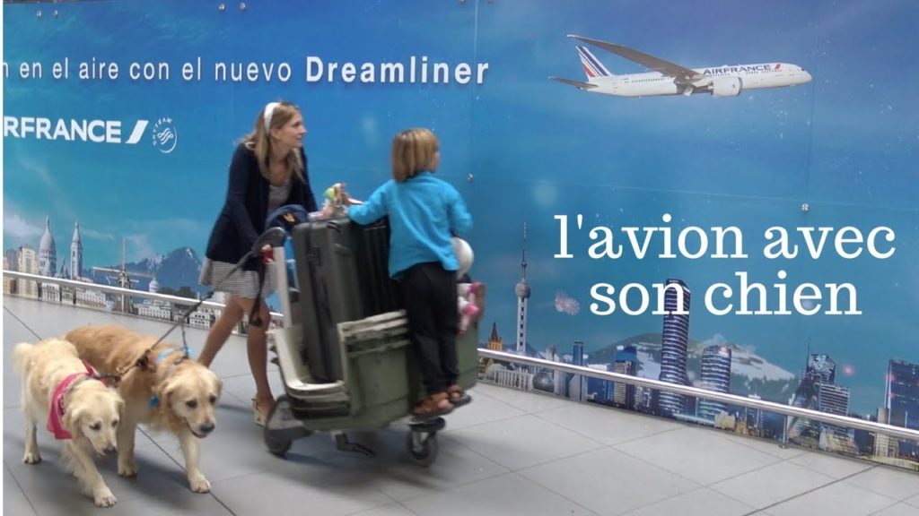 # 53 // Prendre l'avion avec son chien // On vous dit tout ! // Raised on the Road