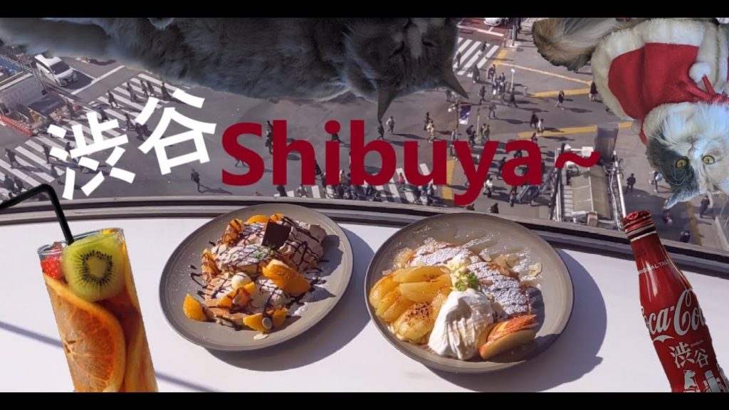 Cats Crowd the Cafe & Off to Osaka