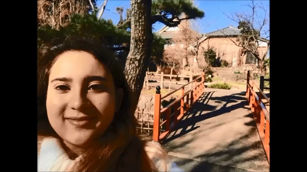 O Castelo de Kakegawa