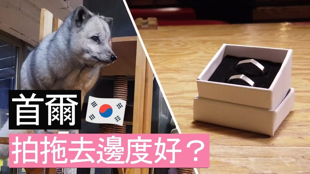 【首爾自由行】狐獴Cafe☕ | 戒指大學💍|杏仁超市🍯