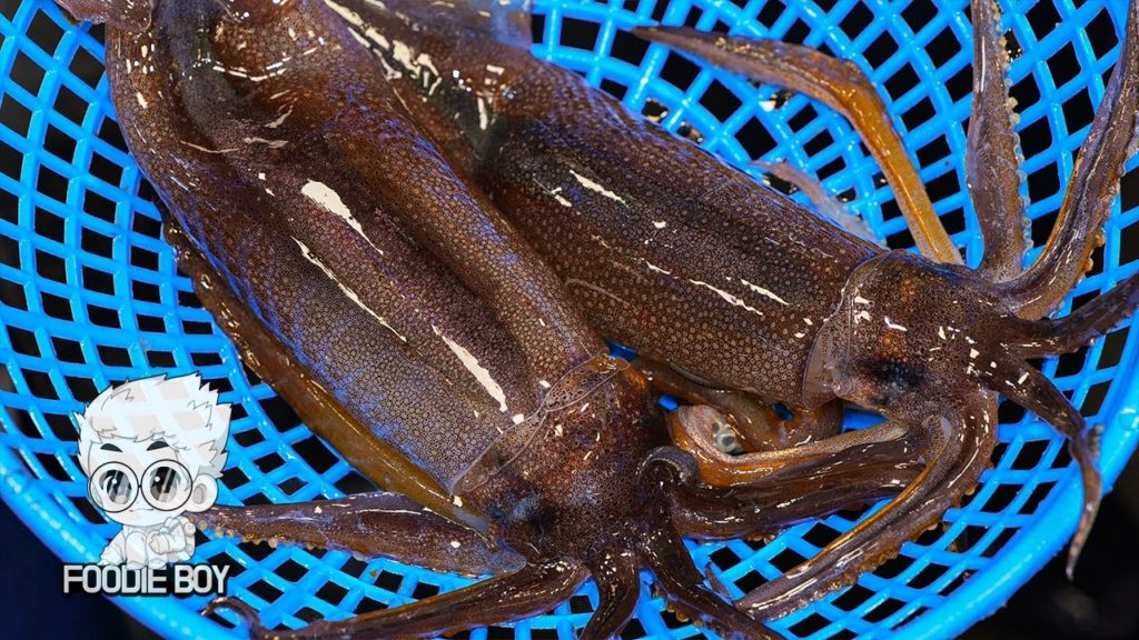 Squid Sashimi(Sliced Raw Squid) / Noryangjin Fish Market / Seoul Korea / 오징어 회 / 서울 노량진 수산시장