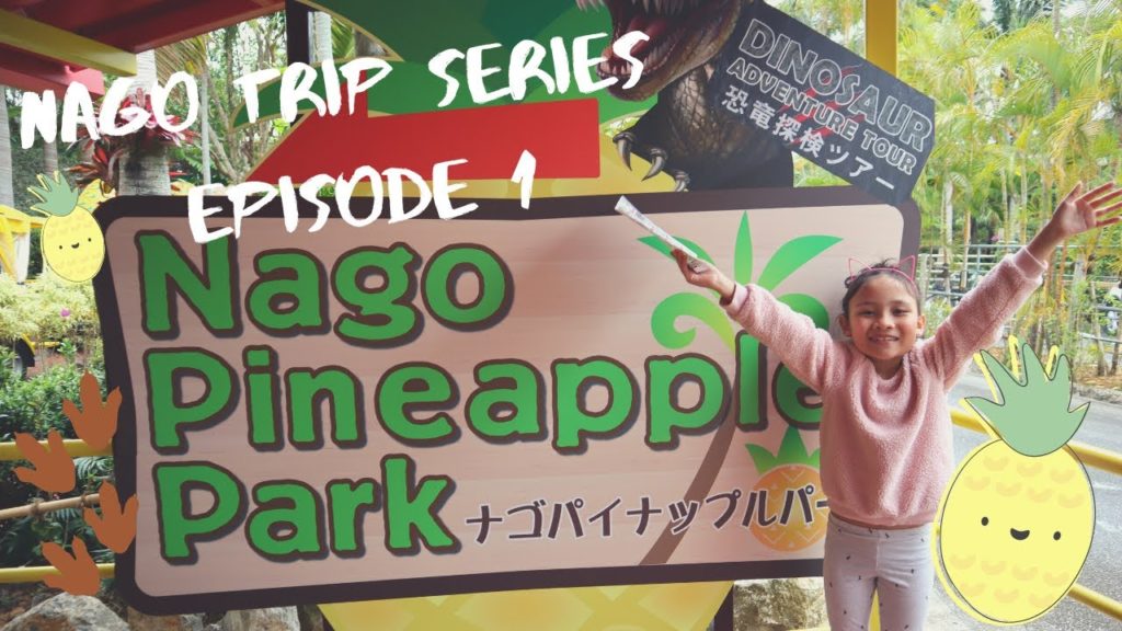 Travel Vlog: Nago Series Episode 1 - Visiting Pineapple Park 🍍 Okinawa - Japan
