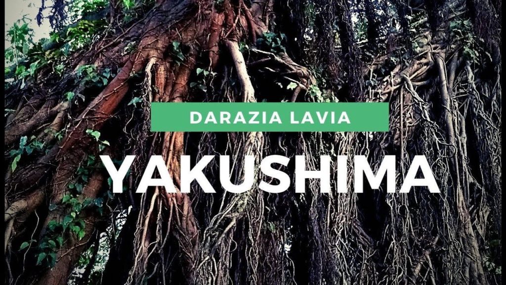 Japan Reisetipps für Yakushima -Reise Vlog