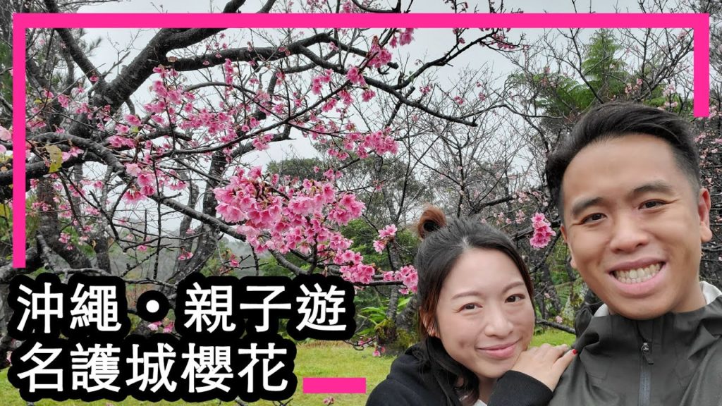 [Travel] 沖繩 親子遊 EP2 - 名護城櫻花 / 夾公仔 / Aeon Mall Rycom - 2020 冬季