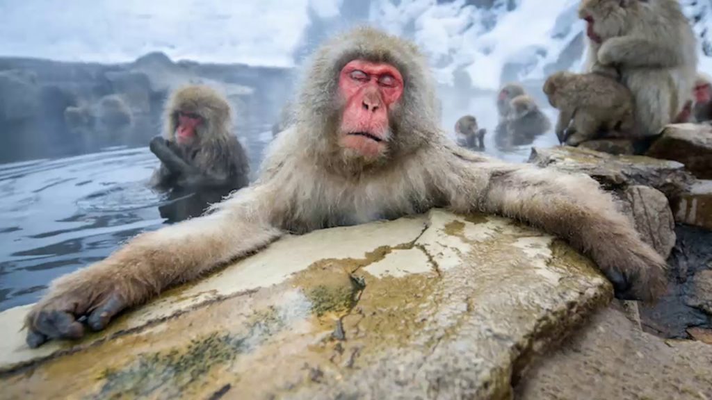 Explore Japan, The Top Tourist Attractions in Japan