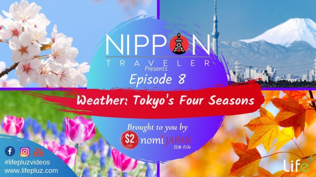 Weather: Tokyo's AMAZING Four Seasons! [Nippon Traveler]
