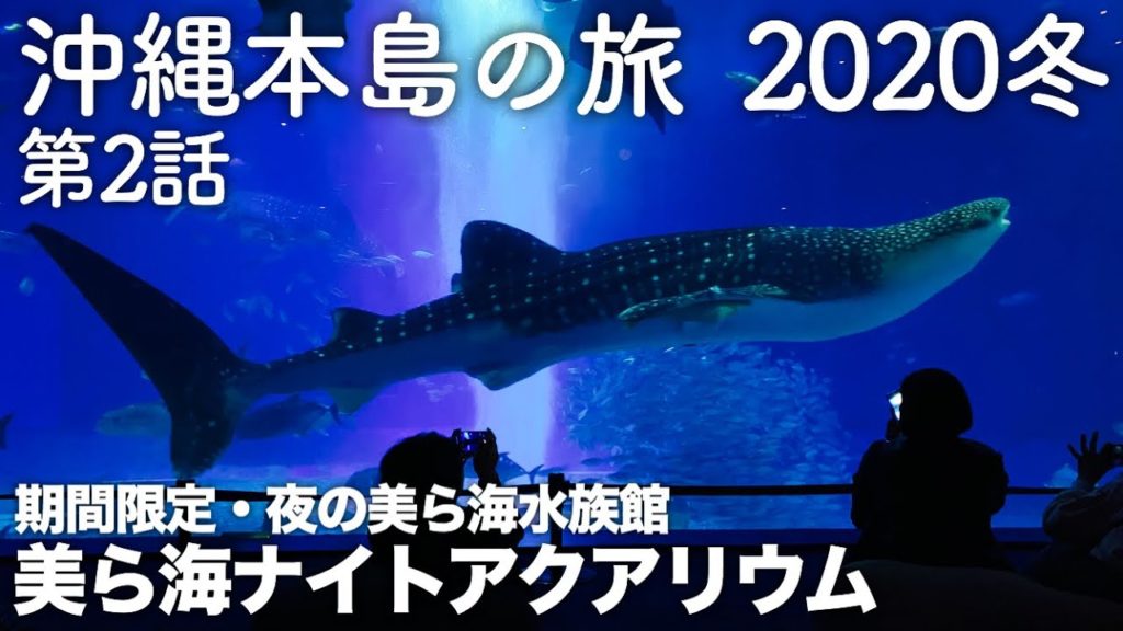 【沖縄旅行】沖縄本島の旅 2020冬 第2話 〜期間限定・夜の美ら海水族館 美ら海ナイトアクアリウム〜 【Okinawa Churaumi Aquarium】