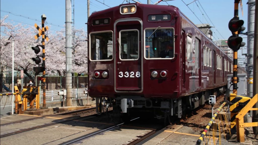 Japanese Cherry Blossoms and trains in March, 2018