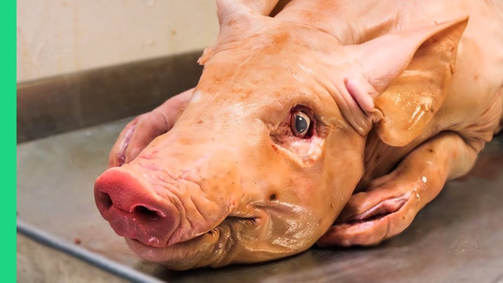 US Deep South Food Tour SNEAK PEAK! Most UNIQUE Food in the USA!!! US Deep South Food Tour SNEAK PEAK! Most UNIQUE Food in the USA!!!