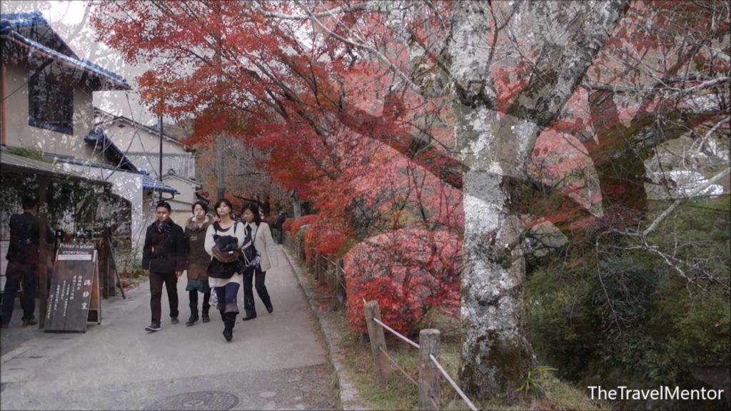 A walk along the Philosopher's Path canal in Kyoto, Japan