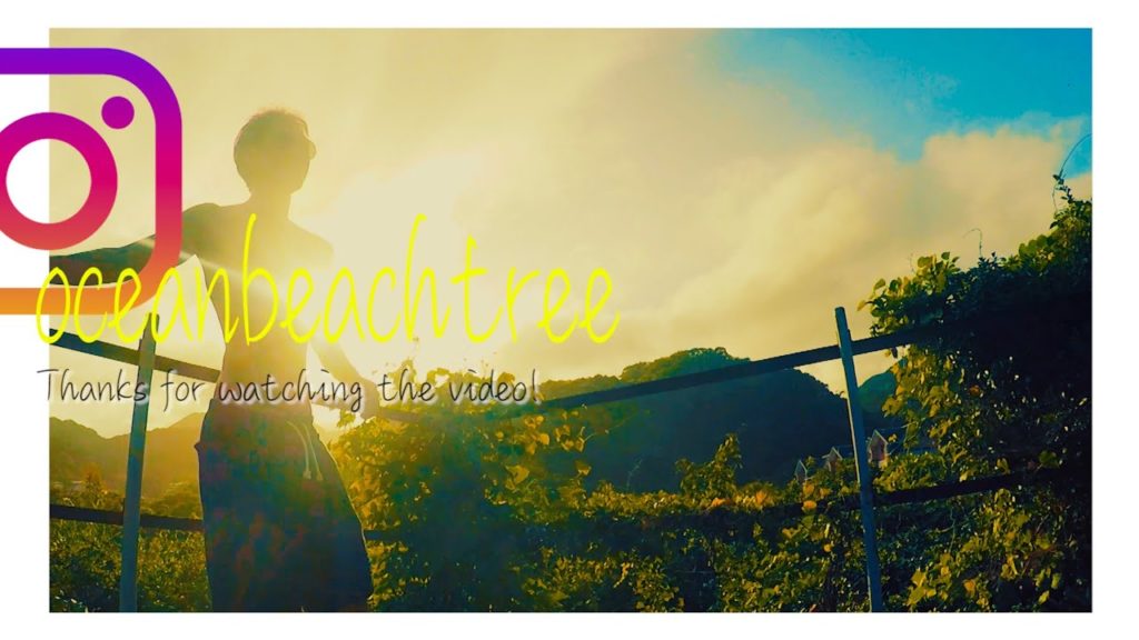 #JUN 012 -Golden Flash- #JUN 012 -Golden Flash-