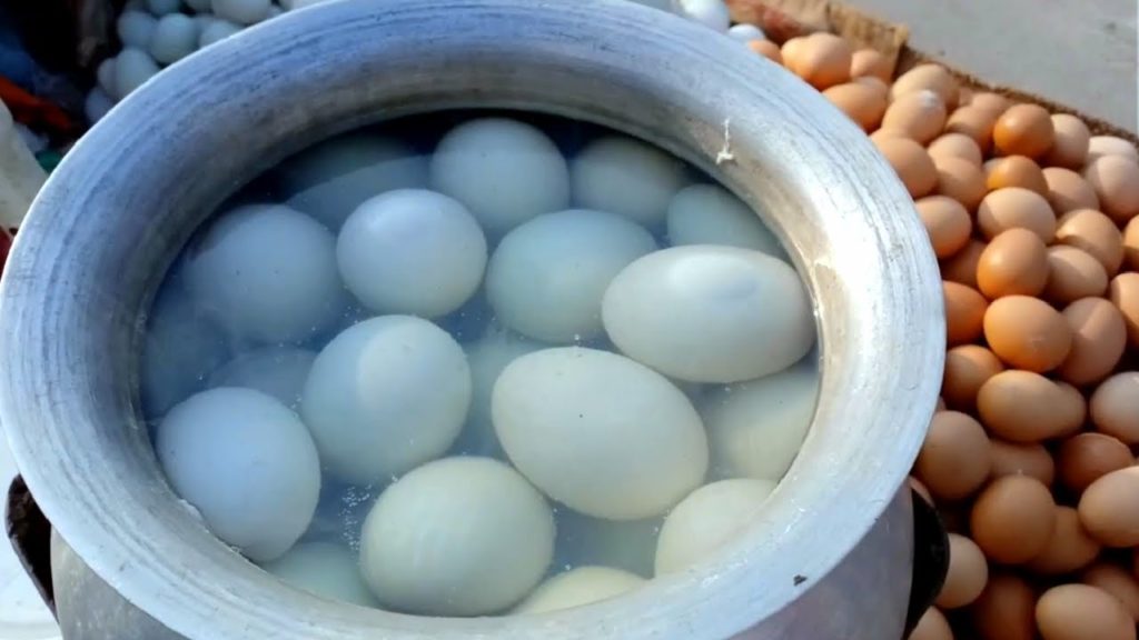 EGG BOIL: Very Propolar Healthy Egg Boiled Food Ever-Indian Street Food | Egg Boil