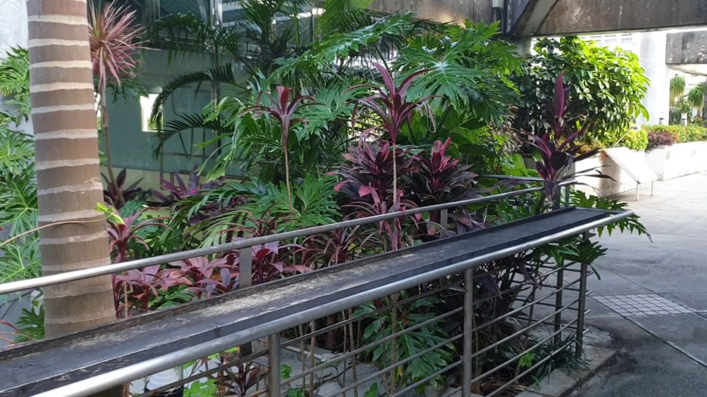 Palette Sky Garden (Naha, Okinawa)