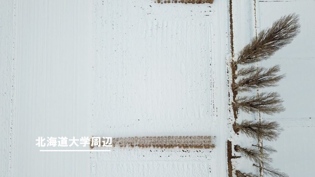 【4Kドローン】2020年初空撮♪　北海道札幌市北海道周辺/Hokkaido,Sapporo