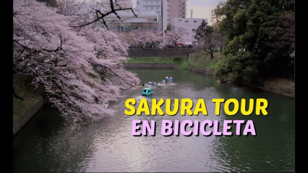 VLOG EN BUSCA DE SAKURA: EN BICI POR TOKYO