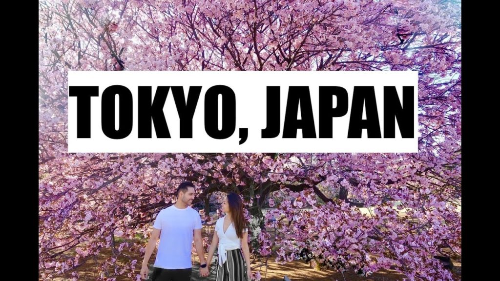 CHERRY BLOSSOM Sakura Season and AMAZING FOOD in Tokyo, Japan! – Travel Vlog CHERRY BLOSSOM Sakura Season and AMAZING FOOD in Tokyo, Japan! - Travel Vlog