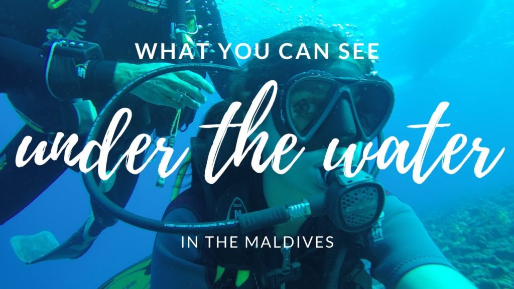 Scuba diving in the Maldives