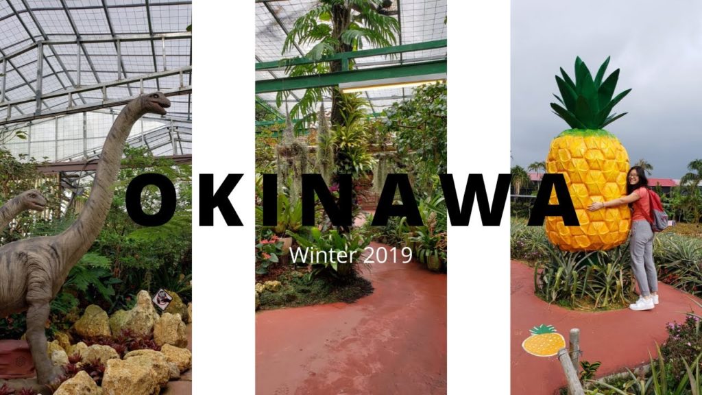 OKINAWA (part 2) // a travel montage