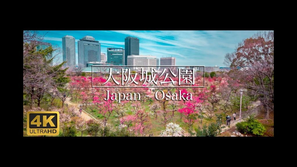 【4K】 Osaka - 大阪城公園梅林 2020/2/7  4K Ultra HD  Japan travel
