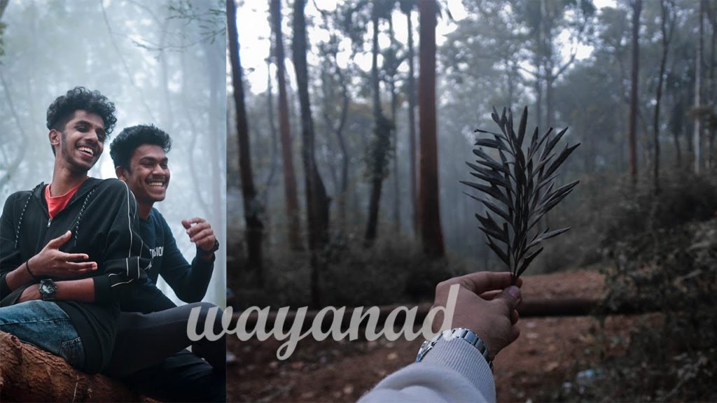 WAYANAD TRAVEL VIDEO //CINEMATIC CUTFILM/AUSTIN JOBI WAYANAD TRAVEL VIDEO //CINEMATIC CUTFILM/AUSTIN JOBI