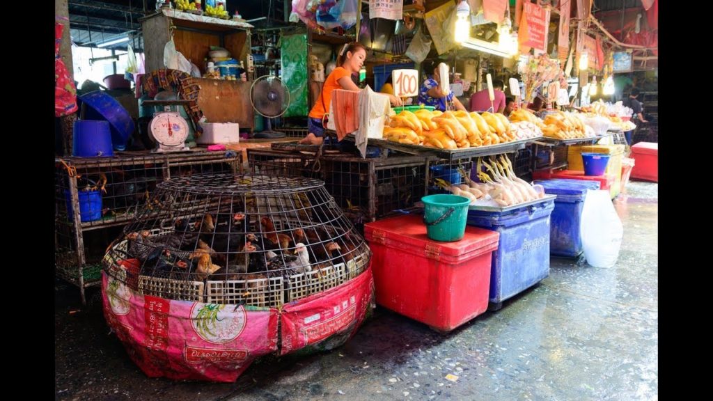 [4K] "Khlong Toei Market" biggest fresh market walk 450m from MRT station, Bangkok