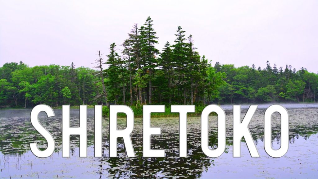 Sur les traces des ours de Shiretoko, à Hokkaido | VLOG JAPON