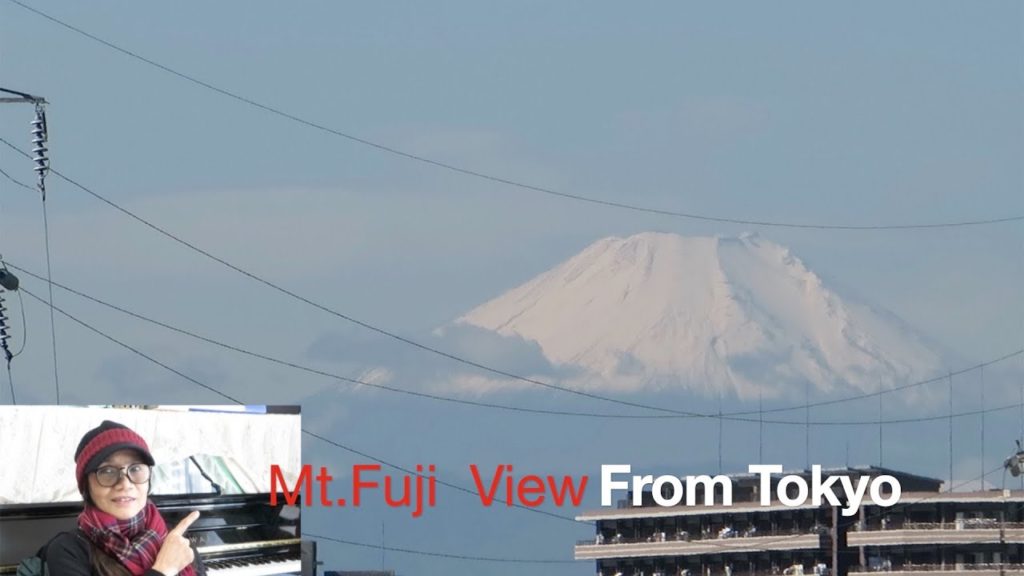 Viewing Skytree and Mt. Fuji From My Home (TOKYO)