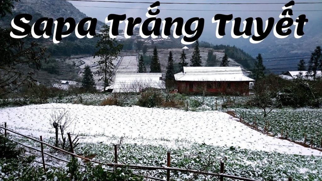 Tuyết Rơi Trắng Trời ở tại Sapa. Lần đầu tiên trong đời Trực Tiếp thấy Tuyết Rơi tại Sapa Lao Cai