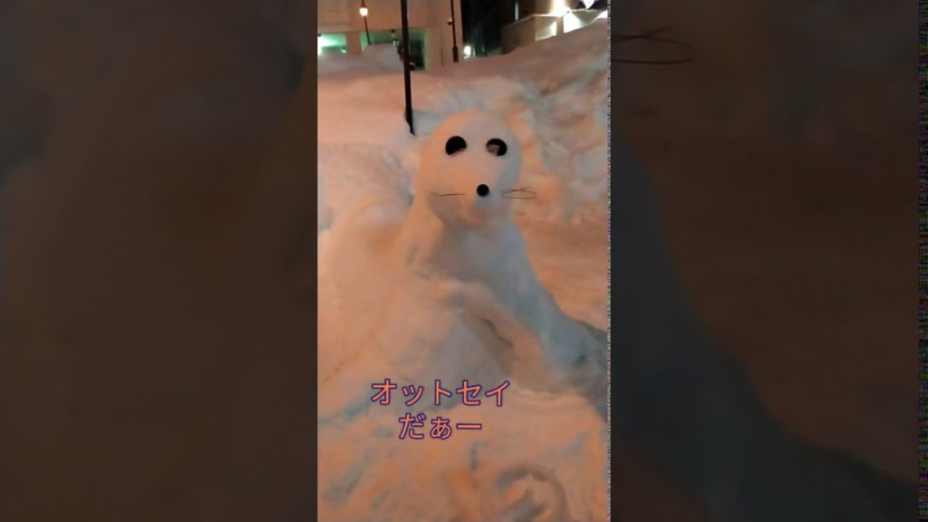 小樽雪あかりの路2020 Otaru Snow Light Path に行ってきました!! 小樽市内各所でアイスキャンドルの灯火が街を照らしてました。 小樽雪あかりの路2020 Otaru Snow Light Path に行ってきました!! 小樽市内各所でアイスキャンドルの灯火が街を照らしてました。