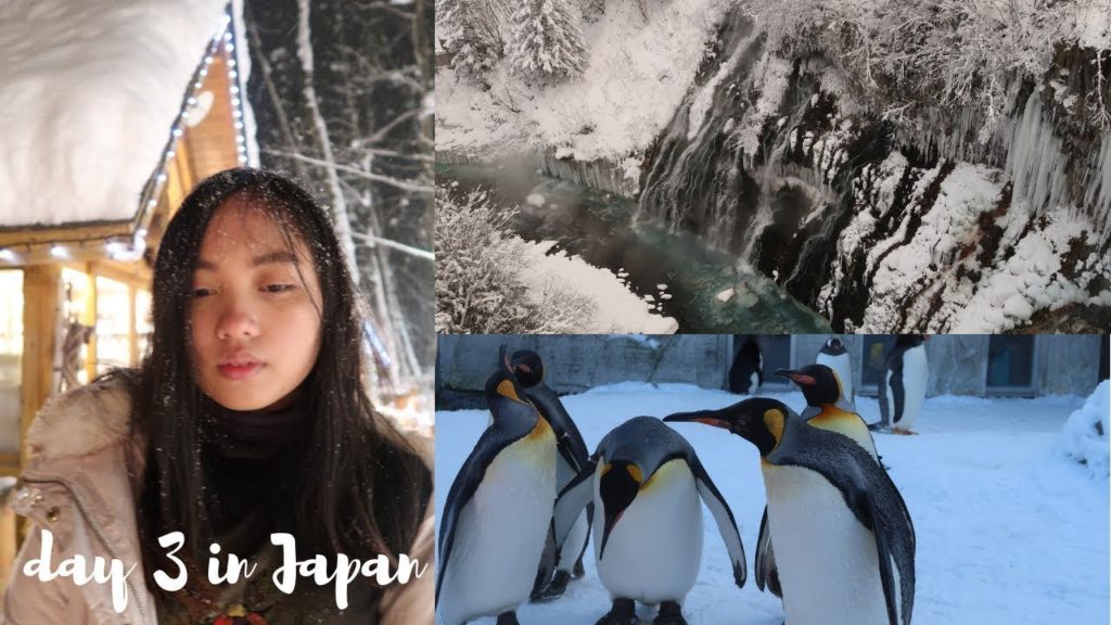 DAY 3: A Nature Trip in Hokkaido, Japan