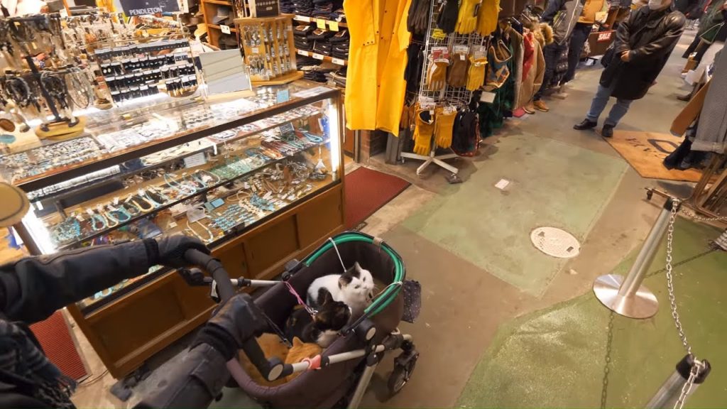 【4K】Evening walk in Ameya-yokocho, Ueno, Tokyo. 【4K】Evening walk in Ameya-yokocho, Ueno, Tokyo.