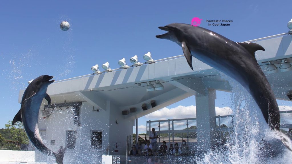 Kujukushima Pearl Sea Resort, Nagasaki Kujukushima Pearl Sea Resort, Nagasaki