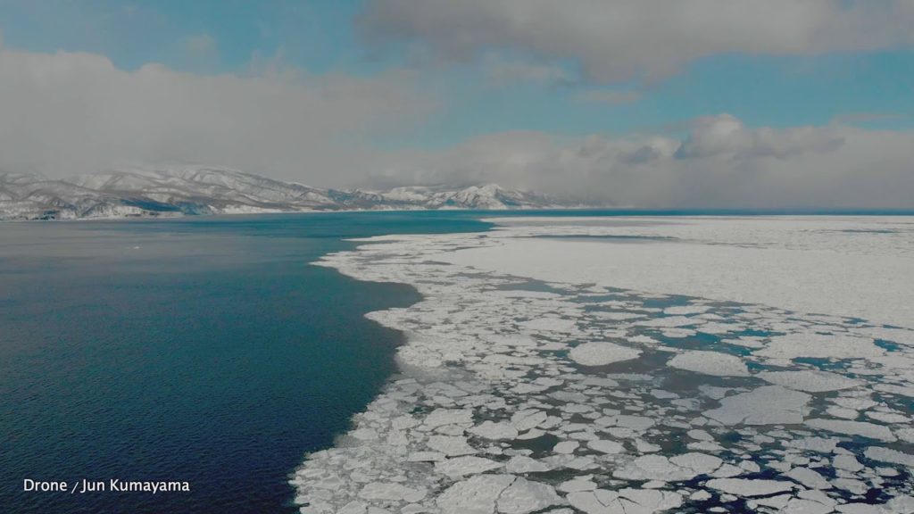 知床羅臼、流氷クルーズ（ドローンで撮影）【ニッポン旅マガジン】