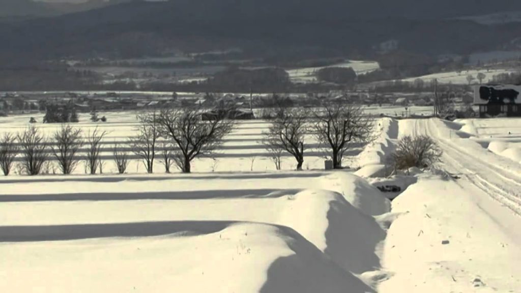 Down snow after 2day. in rice farm Asahikawa city.