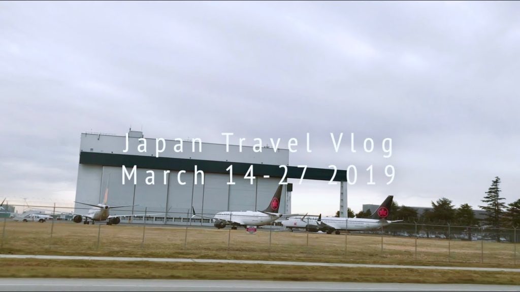 2-week Japan Trip in 8 minutes | Japan Travel Vlog | Nina Irisel