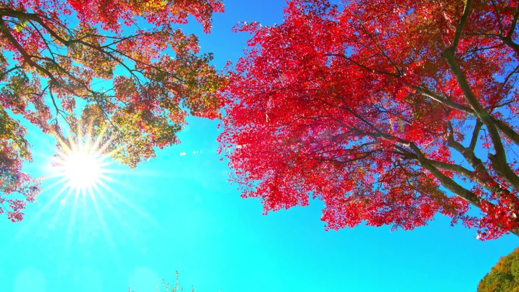 Mount Fuji and Lake Kawaguchi 8KHDR