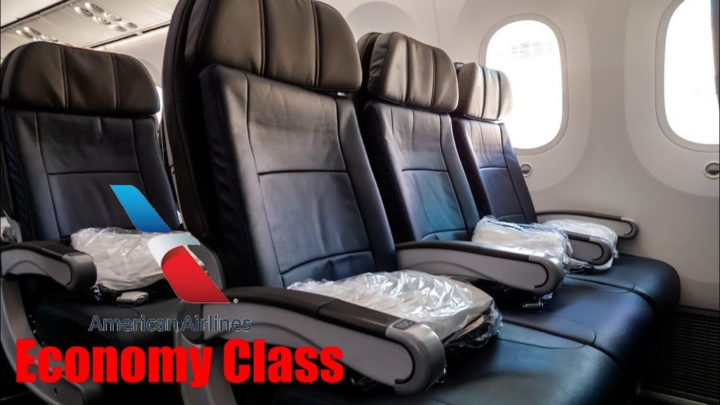 Trip Report | American Airlines Economy Class | Los Angeles to Tokyo Narita