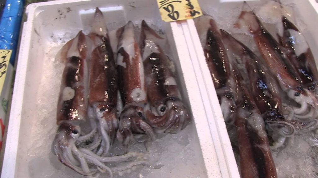 Tsukiji Market