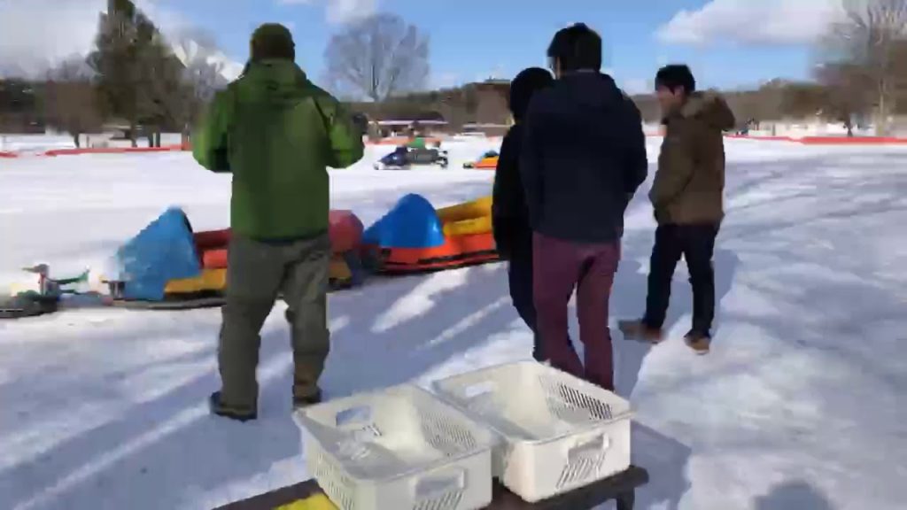 Koiwai farm snow festival