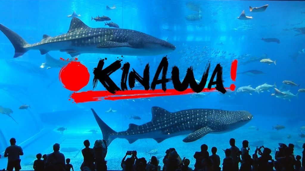2016 Yokoso JAPAN OKINAWA Trip / ヨコソー日本沖縄の旅 / Riot!!!
