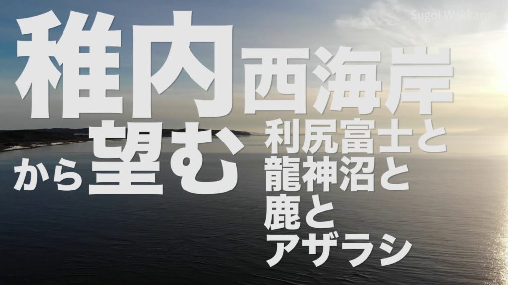 稚内西海岸から望む利尻富士　抜海港のアザラシ　鹿　日本最北端 wakkanai Hokkaido Mt.Risihri