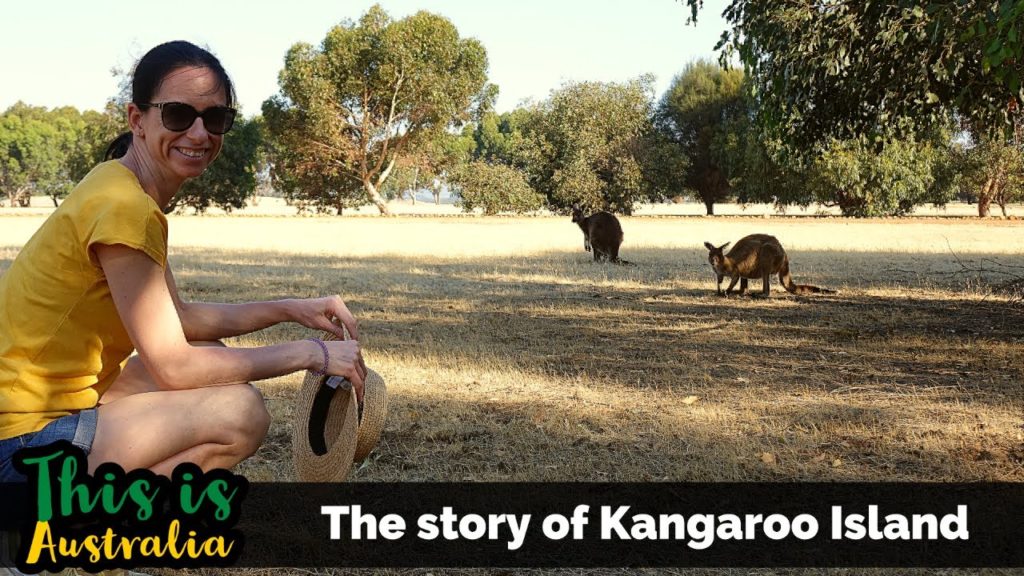 The story of Kangaroo Island – This is Australia The story of Kangaroo Island - This is Australia
