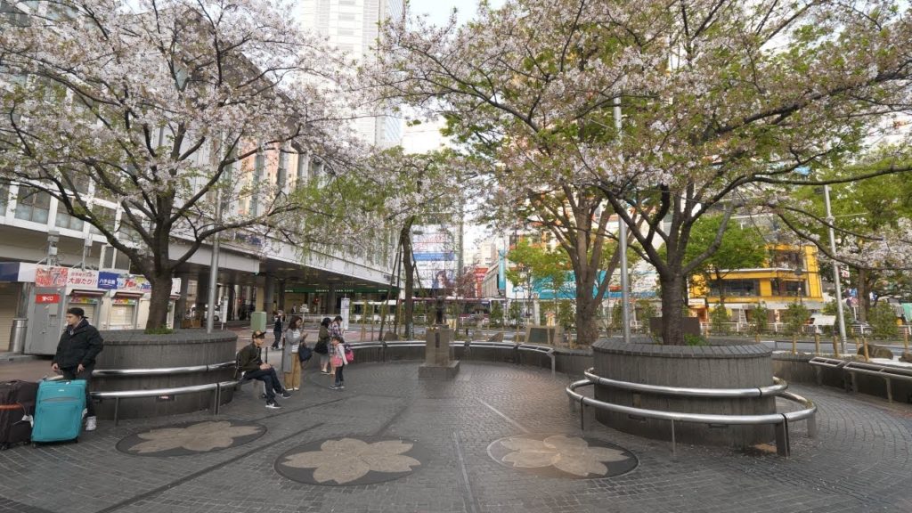 【4K】Shibuya on Saturday morning