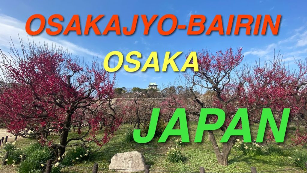 A trip to OSAKAJYO-BAIRIN in osaka Japan