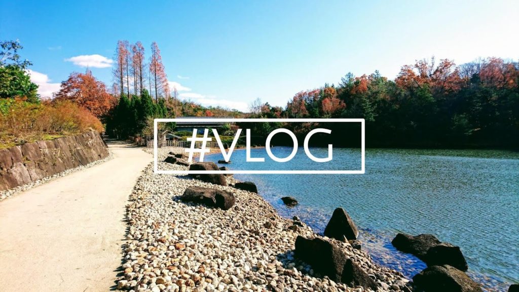 VLOG #18 2016 Winter in Nagoya